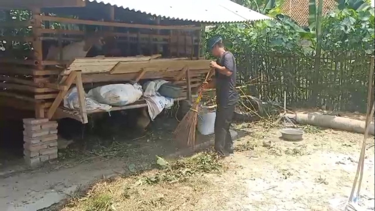 Ternak Kambing Warga Desa Bumi Asri Mati Mendadak