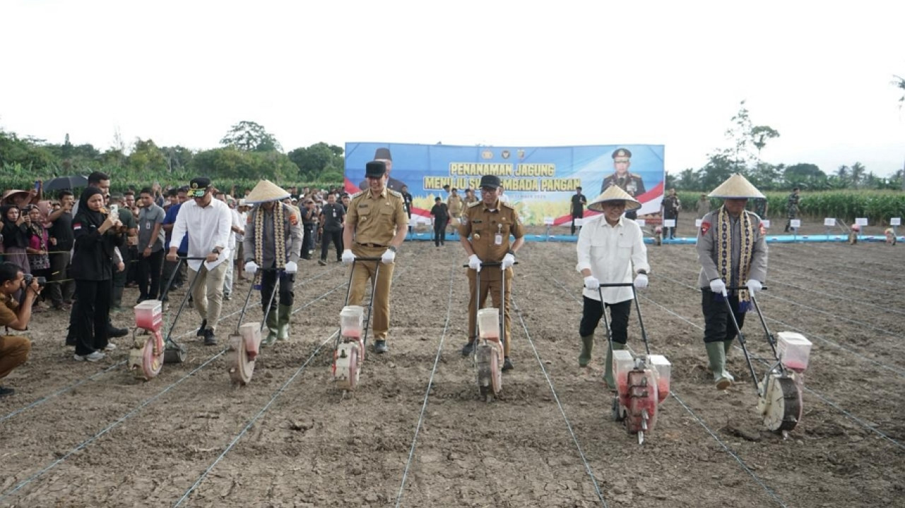 Wakapolri dan Kapolda Lampung Dampingi Menko Pangan Zulkifli Hasan Tanam Jagung di Lamsel