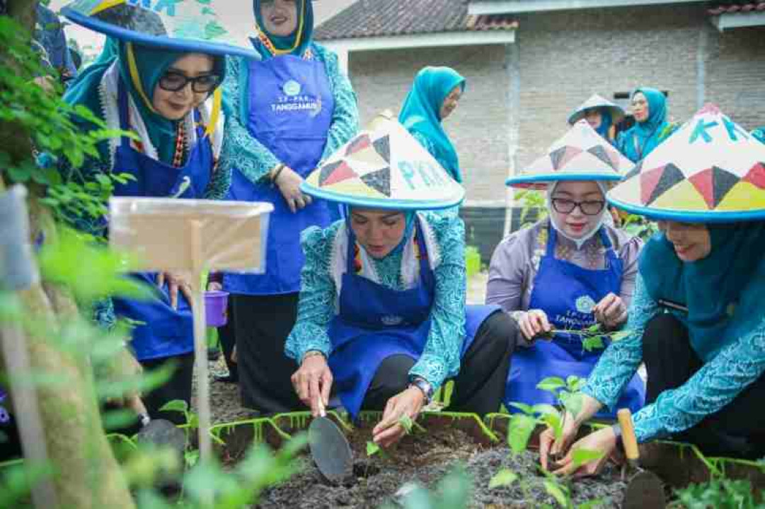 Desa TAPIS Hadir di Tanggamus