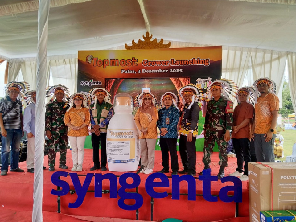 Syngenta Launching Topmost di Lampung