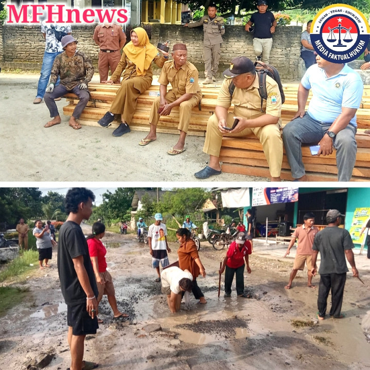 Warga Tebar Ikan Lele di Jalan Rusak Rejomulyo–Bali Agung, Camat Palas Turun Beri Jawaban