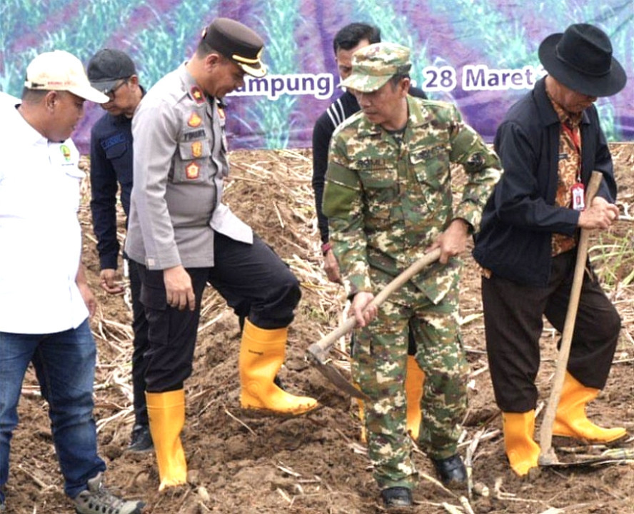 Perluasan Tebu Rakyat Dorong Swasembada Gula dan Tingkatkan Kesejahteraan Petani