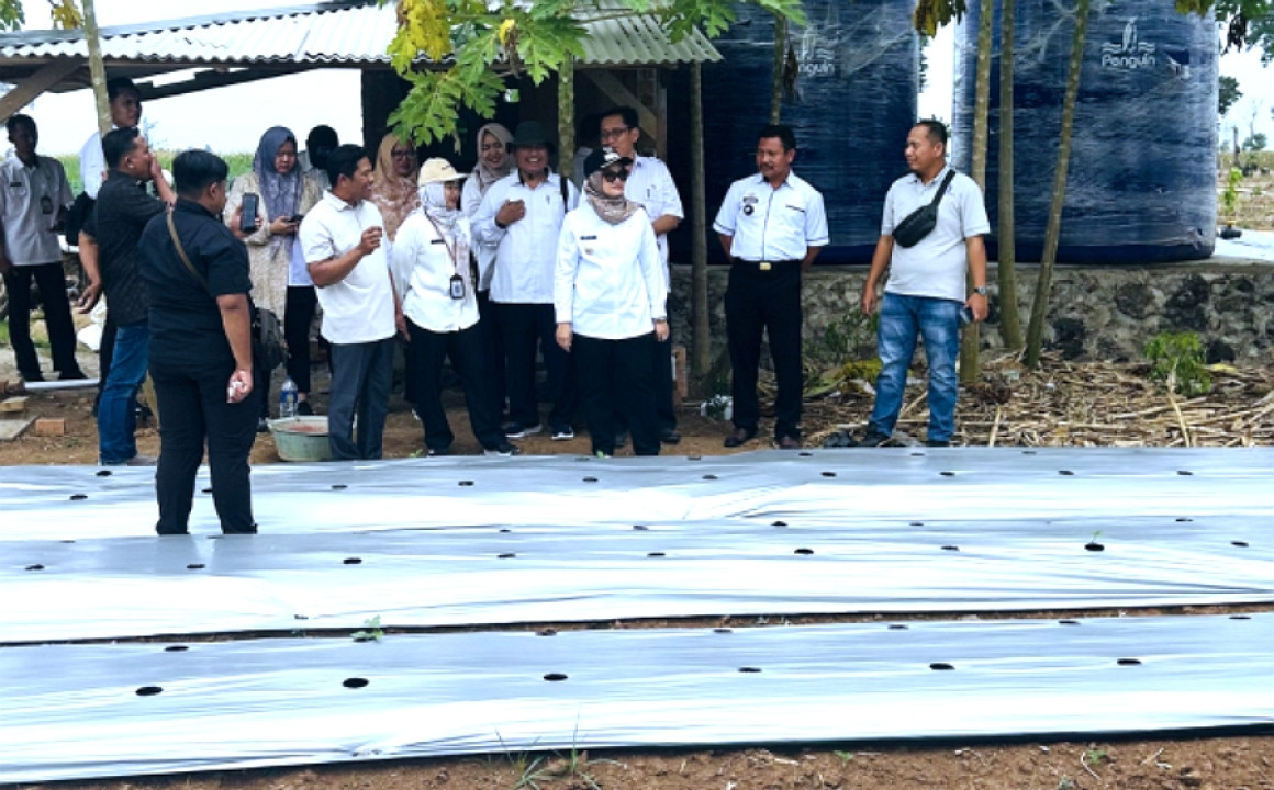 LAMTIM-189.jpg