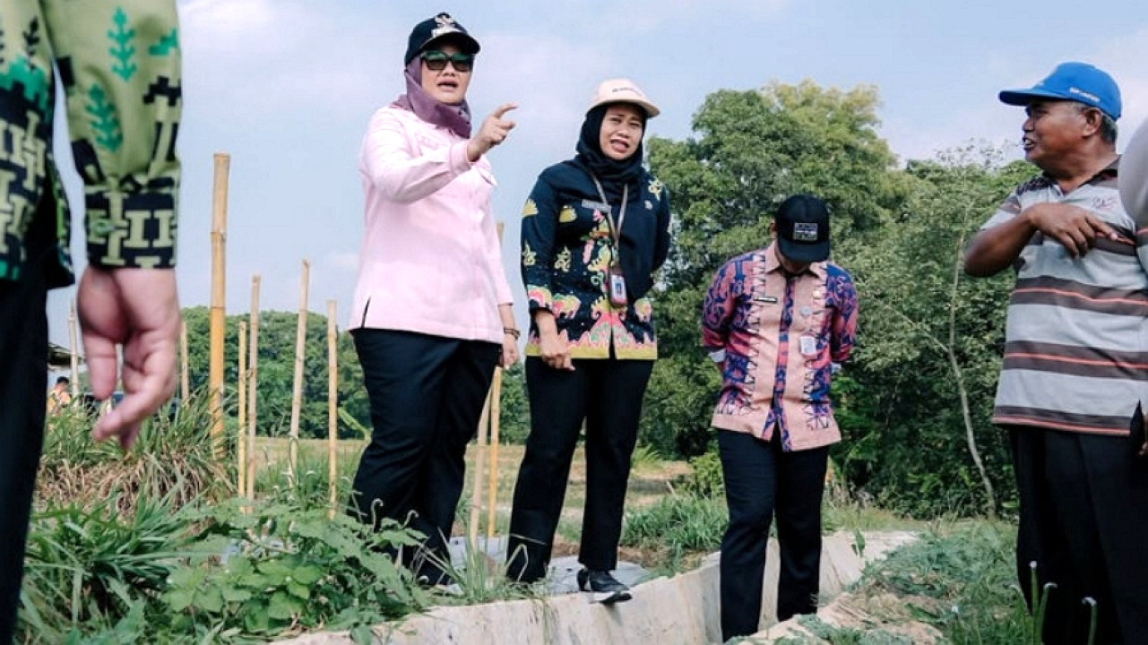 Bupati Ela Siti Nuryamah Tinjau Saluran Irigasi di Desa Tegal Ombo