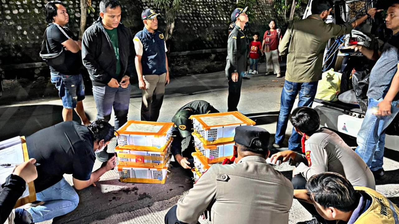 Ratusan Burung Liar Diamankan Tim Gabungan KSKP dan BKSDA Lampung