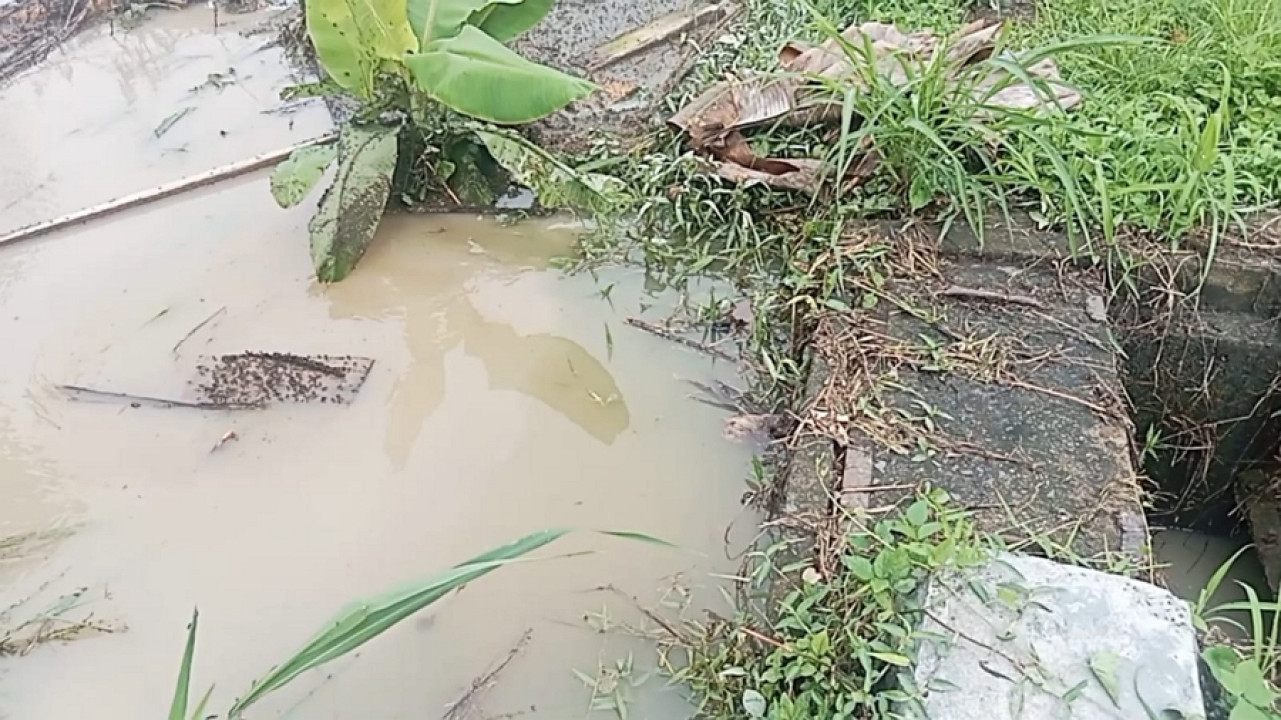 Pintu Air Banyak Tidak Berfungsi  Saat Musim Penghujan Petani Was-Was 